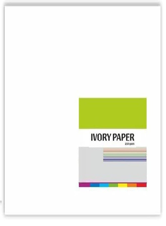 FIRST CLICK Ivory Papers Chart Paper Drawing Paper Sheet 210 GSM Big Size Full (56 x 71 cm) Pack of 5 Sheets Chart Paper - Image 2